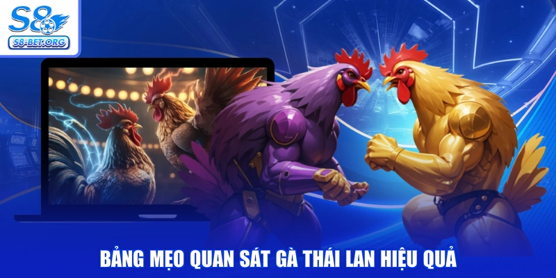 Bảng mẹo quan sát gà thái lan hiệu quả