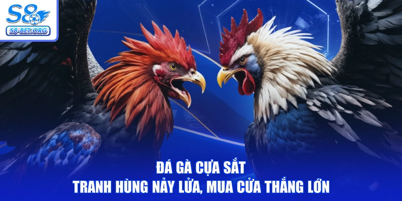 Đá Gà Cựa Sắt - Tranh Hùng Nảy Lửa, Mua Cửa Thắng Lớn