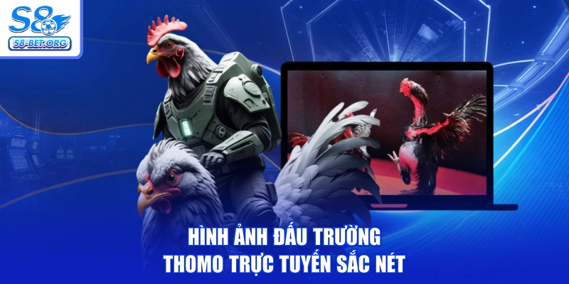 Hình ảnh đấu trường Thomo trực tuyến sắc nét