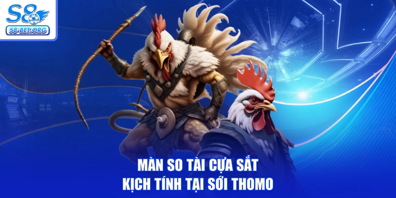 Màn so tài cựa sắt kịch tính tại sới Thomo